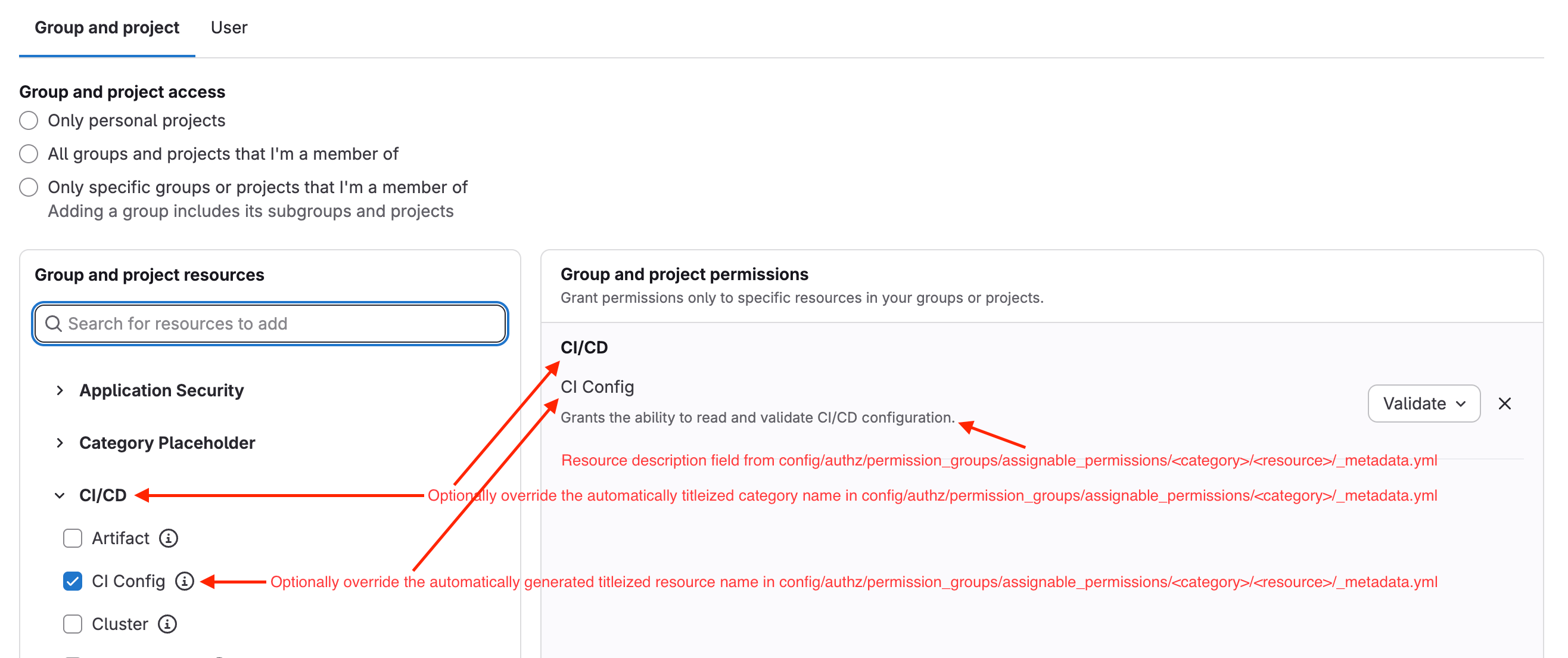 Permission selection UI showing resource metadata